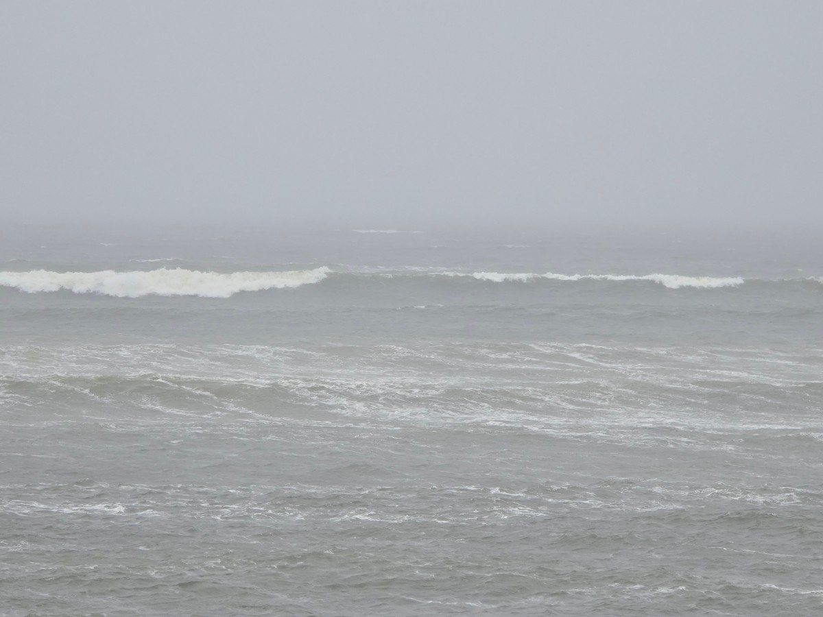 Carousel picture 4ft